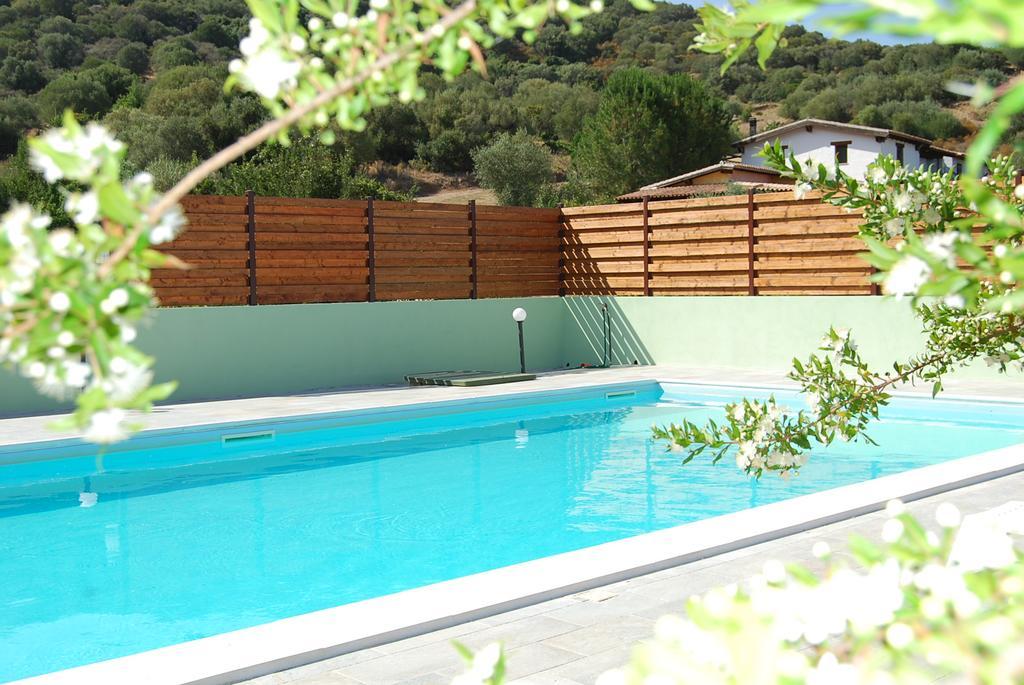 B&B Il Mirto Di Paola Torpè Екстериор снимка